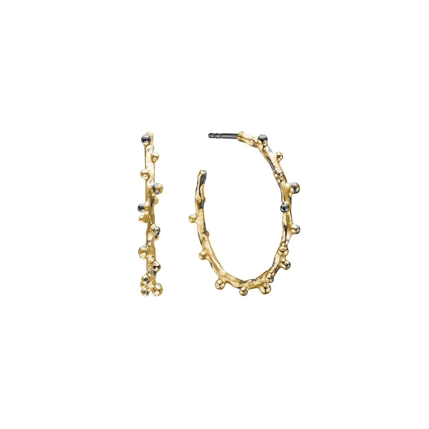 Örhänge - URBAN HARLEM BUDS GOLDEN