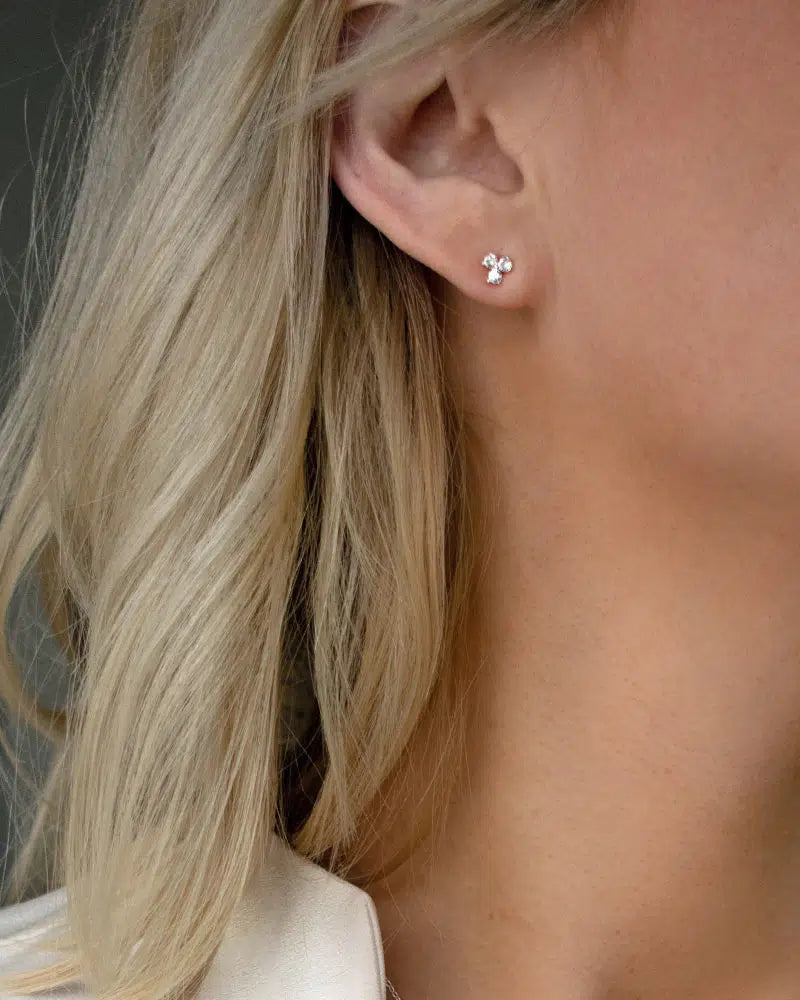 Petite Star studs