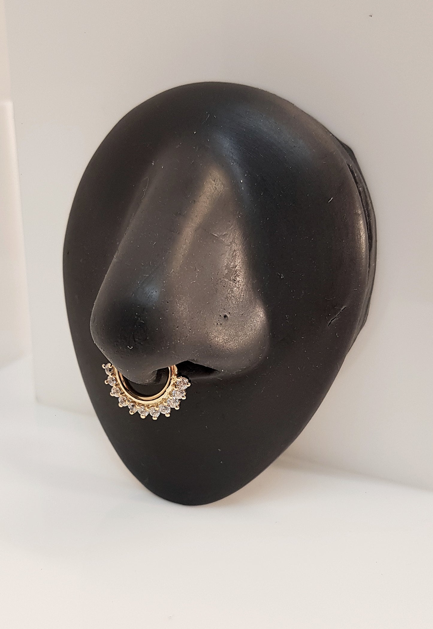 Piercingsmycke - FG 20