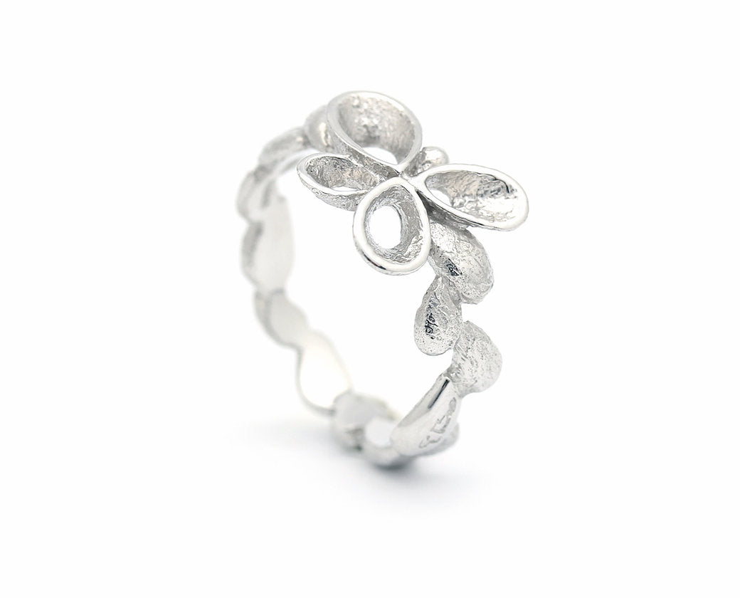 Per Borup, Ring - Violina