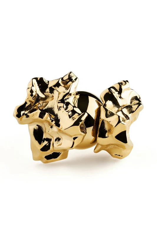 Halley Jubilee Ring