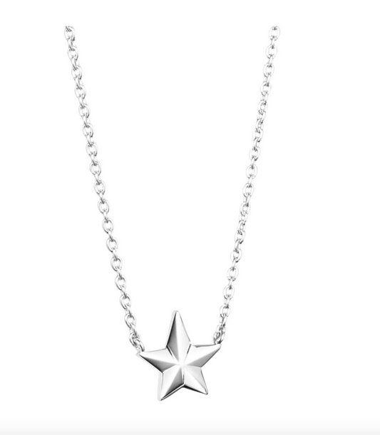 Catch A Falling Star Single Necklace